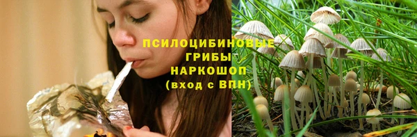 крисы Алексин
